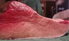 辻鮨割烹日本料理-大连