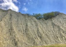 田寮月世界-高雄-大姐小露開心果