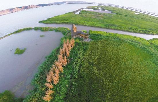 台州湾湿地公园