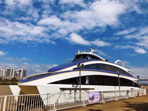 真龙号游船(东堤旅游码头)