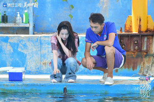 海棠湾/三亚免税店/后海游记图文-不夜VLOG | 《美好的时光》IN海昌不夜城，可爱海豚大显身手萌翻“好的乐队”