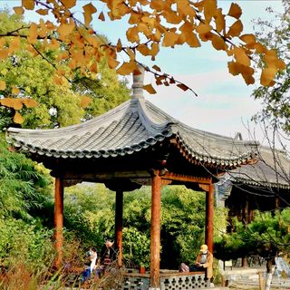 前门 三里河公园的深秋