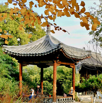 前门 三里河公园的深秋