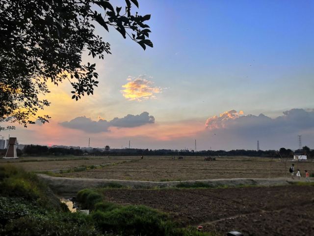 华阳湖国家湿地公园旅行图片 1