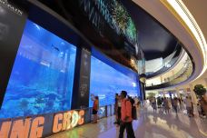 迪拜水族馆和水下动物园-迪拜-莲子99