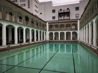 【枸杞岛沪苏游】1.美龄梧桐树陪伴新晋网红点