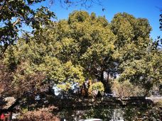 桥西历史街区-杭州-qtrqqcl