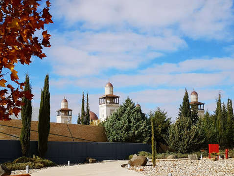 2019年冬以色列、约旦自由行游记(14)——安曼