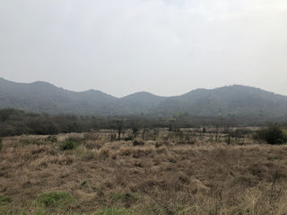 龙泉山风景区周末休息游玩