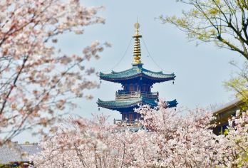 南京出发：无锡太湖鼋头渚+禅意小镇·拈花湾一日游【私家团】【私家小团丨小众玩法丨纯玩无购丨独立包车丨行程可调丨随停随走丨时间自由丨上门接送】