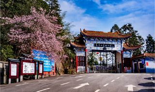 阳春三月，来天岳幕阜山赴一场樱花之约