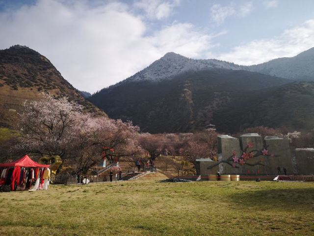 嘎拉桃花源旅行图片 1