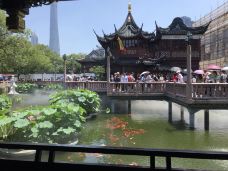 上海城隍庙道观-上海-老猫o_O