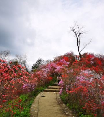 岳西游记图文-岳西天峡一日游