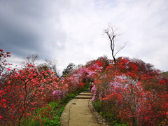 岳西游记图片] 岳西天峡一日游