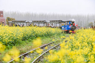花开赏春趣 相约游金湖