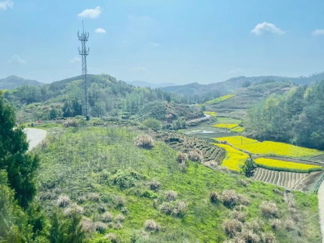 石潭村旅行图片 5