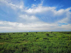 张北游记图片] 张北草原游记以及攻略，呕心沥血分享给大家