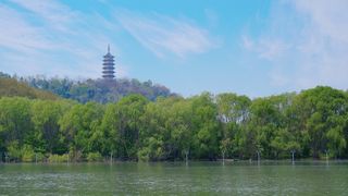 江苏镇江 | 这个季节的江南，一定要来一次拥抱