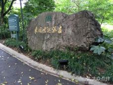 杭州东航云逸酒店·楼外楼-杭州