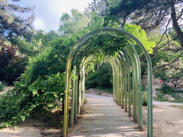 柳荫公园旅行图片 5