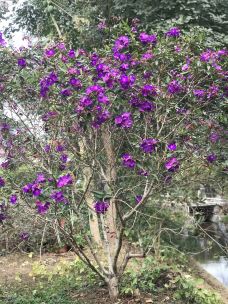 广州美术学院(昌岗校区)-广州-华华2018