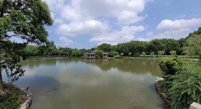 杨浦公园旅行图片 6