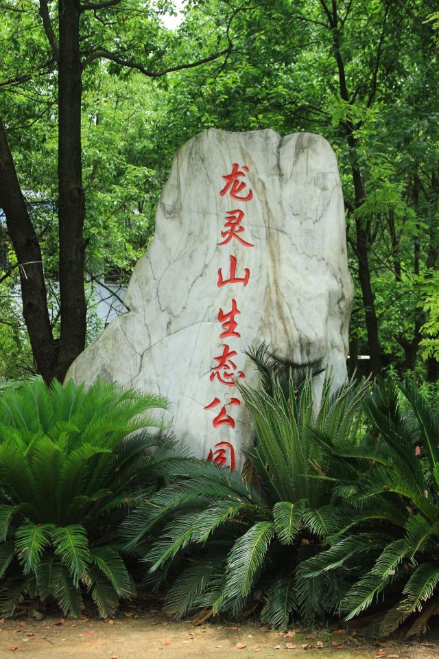 龙灵山生态公园旅行图片 1