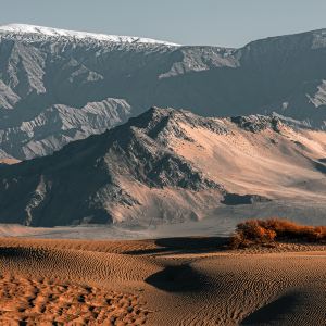 Golmud