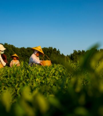 望城区游记图文-国庆在望，我到长沙的这些地方踩个点