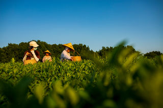 国庆在望，我到长沙的这些地方踩个点