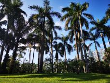 珠江公园-广州-爱旅行的猪仔