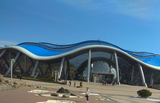 五一感受海参崴（第三天：水族馆-联邦大学）