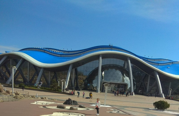 五一感受海参崴（第三天：水族馆-联邦大学）