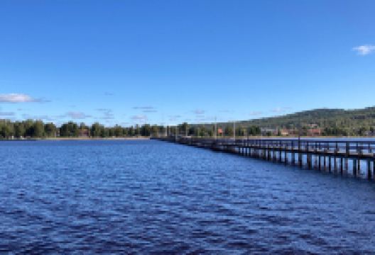 Observation Head Lookout景点图片