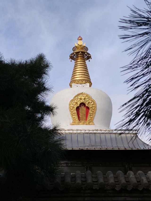 皇姑北塔公园旅行图片 5