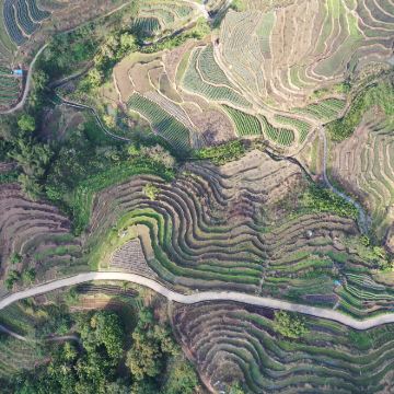 海口+琼中+五指山+保亭+东方+儋州8日7晚跟团游