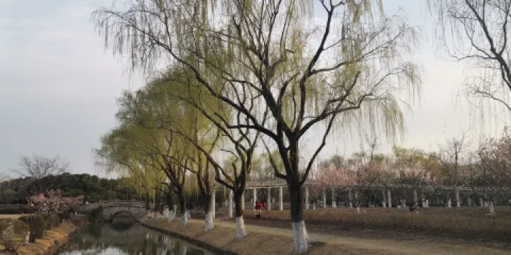 石芽嶺公園