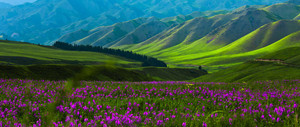 博乐游记图文-新疆旅游景点景区介绍