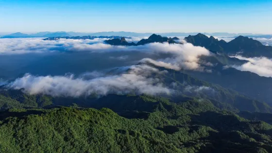 湖北大老嶺國家級自然保護區