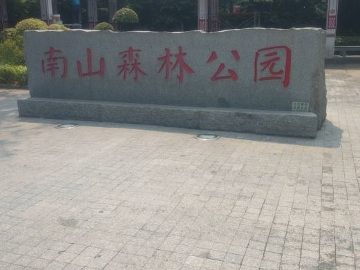 南山森林公园