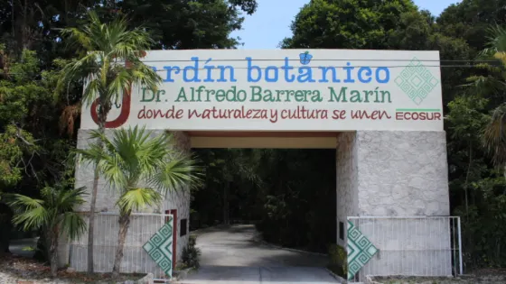 Jardín Botánico Dr. Alfredo Barrera Marin