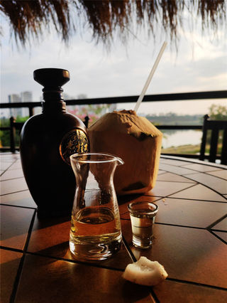 糟粕醋、椰奶鸡，邕江边刮来浓浓海南风