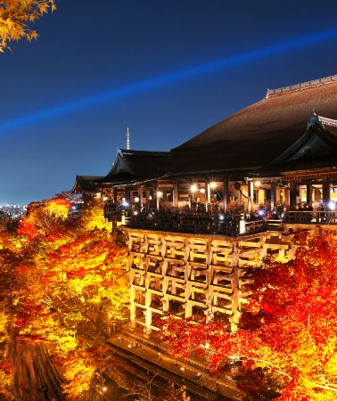 5天4晚 • 大阪-京都-奈良-和歌山美景玩樂5天之旅