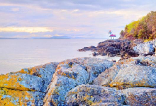 Ocean Park景点图片