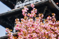 大云寺•王母宫-泾川