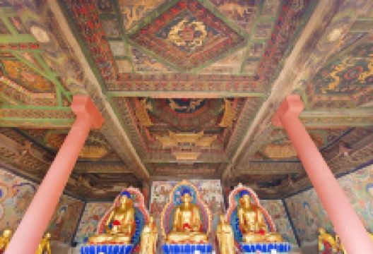 净土寺景点图片