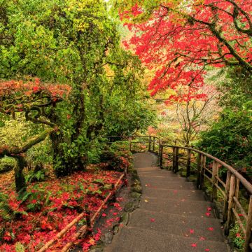 加拿大温哥华+多伦多+卡皮拉诺吊桥公园+固兰湖岛+史丹利公园+布查德花园+尼亚加拉湖滨小镇+皇家BC省博物馆8日7晚私家团