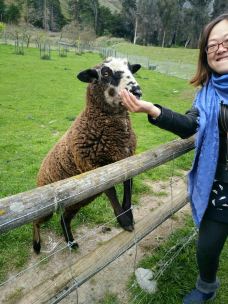 瓦尔特峰高原农场-皇后镇-Kimi_jm