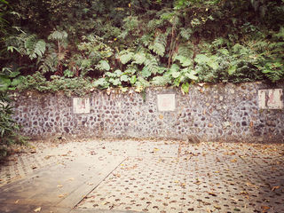 南平第一把金交椅——“金交胜境”陈友谅墓？